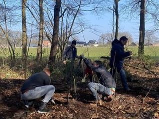 bomen-planten-etherma